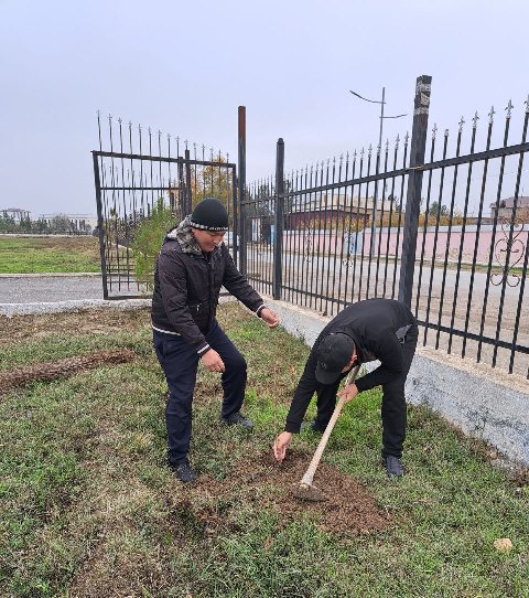 Пагода зафаробод таджикистана